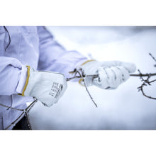 NITRAS DRIVER WINTER, Rindvolllederhandschuhe, grau