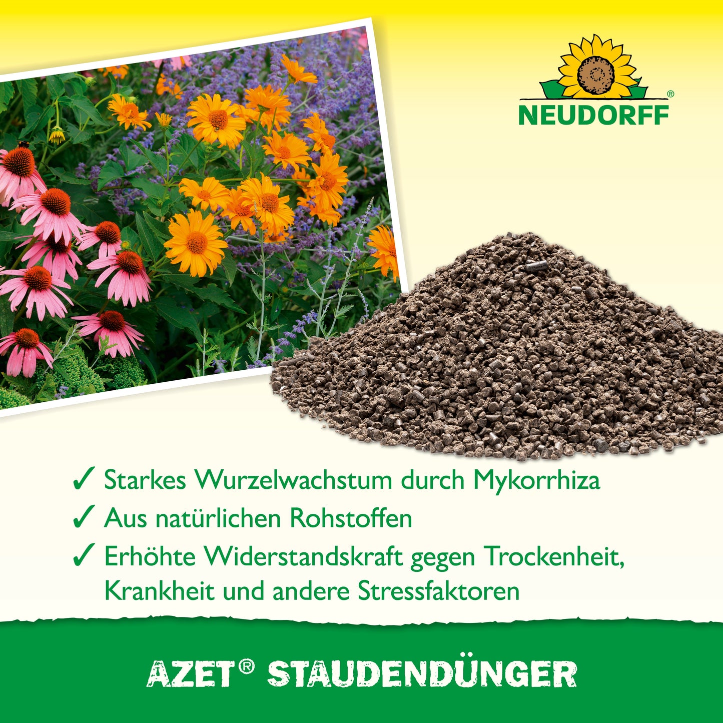 Ein Haufen Azet StaudenDünger vom Neudorff Shop liegt im Garten neben blühenden Stauden. Das Bild zeigt das Neudorff-Logo und hebt Vorteile wie besseres Wurzelwachstum, natürliche Zutaten und höhere Widerstandskraft hervor.