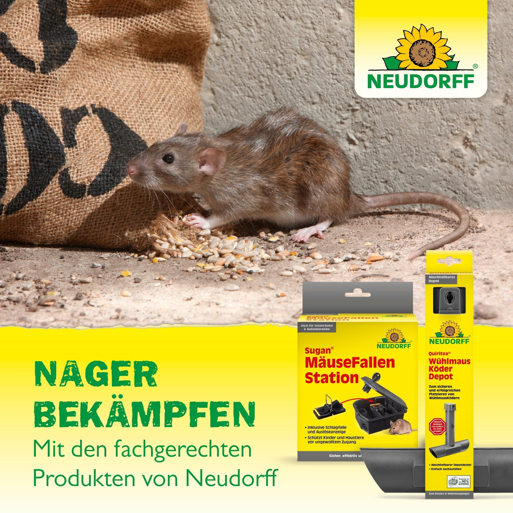 A brown rat eats scattered grains near a wall. In the foreground are pest control products from the Neudorff Shop mouse grid, which prevent rats and mice. A German text advertises these effective solutions.
