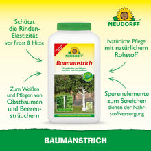 Baumanstrich