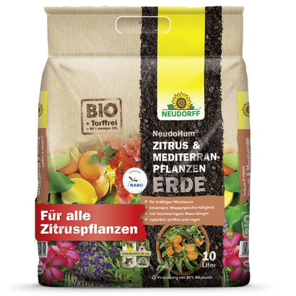 Ein 10L Beutel Neudorff Shop NeudoHum Zitrus- & MediterranpflanzenErde-ideal für Urban Jungle, Balkon und Terrasse. Mit Fruchtbildern, Zertifizierungslogos und hervorragender Eignung für alle Zitrus- und Mediterranpflanzen.