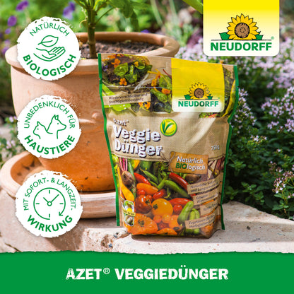 Eine Tüte Neudorff Shop Azet VeggieDünger steht auf einer Holzfläche im Freien neben einem Terrakottatopf mit Grünpflanzen. Auf der Verpackung sind Gemüsebilder und Zertifizierungslogos abgebildet.