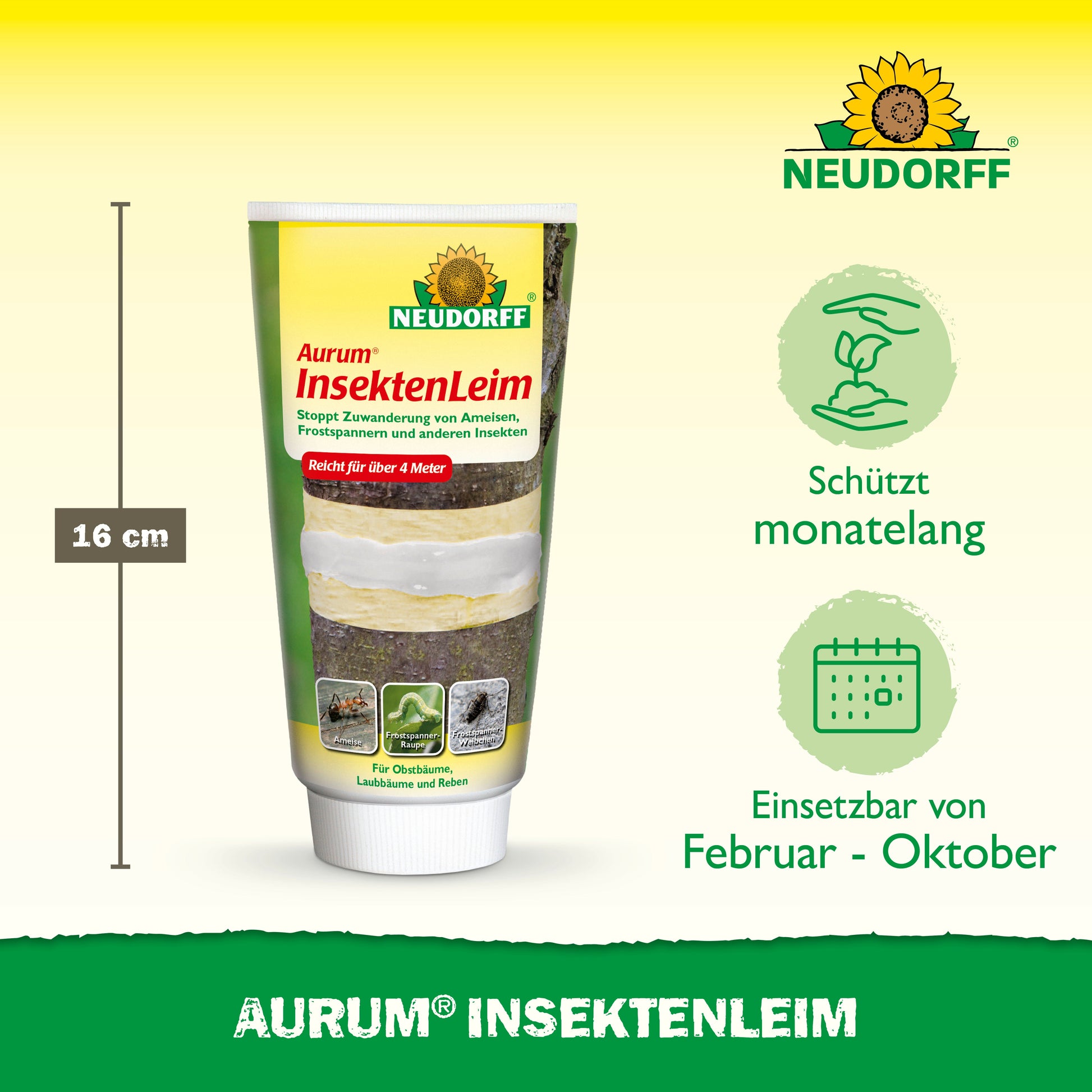 Abgebildet ist eine 16-cm-Tube Neudorff Shop Aurum InsektenLeim. Die Verpackung hebt den lang anhaltenden Schutz von Obstbäumen vor Schädlingen wie Frostspanner und Ameisen hervor, der von Februar bis Oktober angewendet werden kann, wobei grüne Symbole die Wirksamkeit anzeigen.