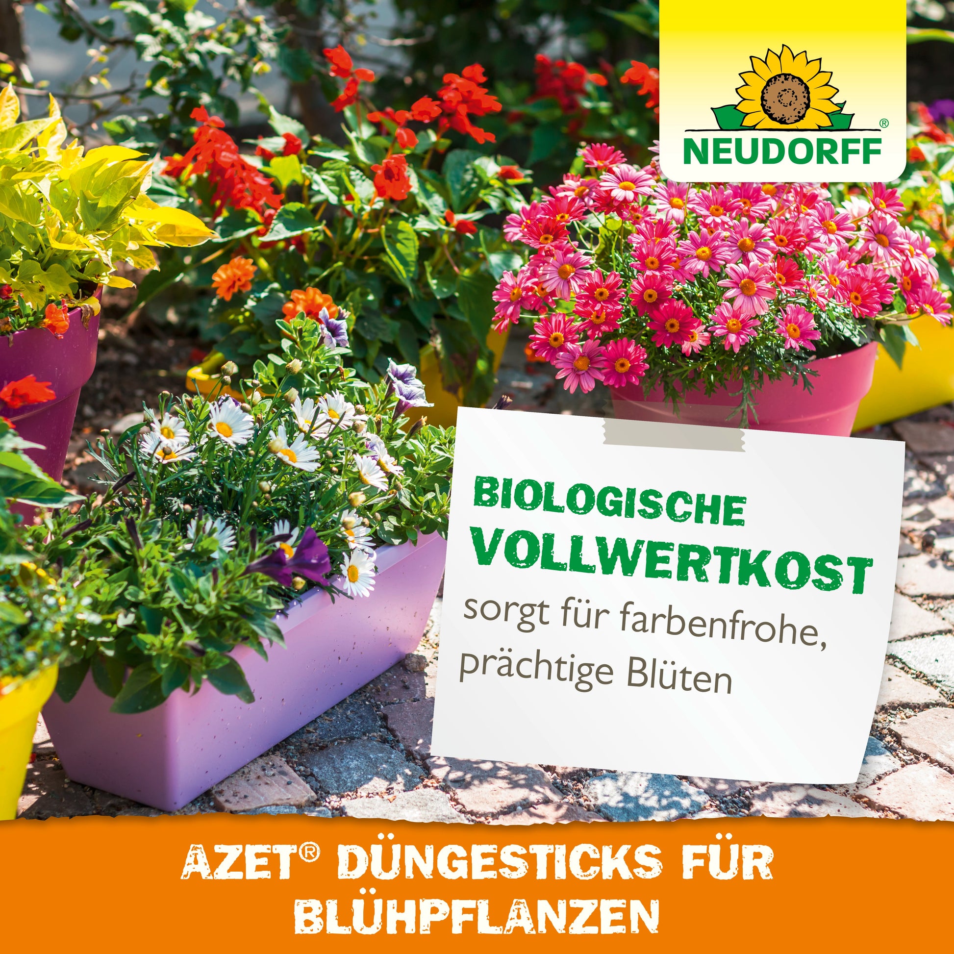 Bunt blühende und grüne Pflanzen in rechteckigen Behältern stehen im Freien. Ein Schild wirbt für den Neudorff Shop Azet Düngesticks für Blühpflanzen als "biologische Vollwertkost" für lebendige, üppige Blüten.