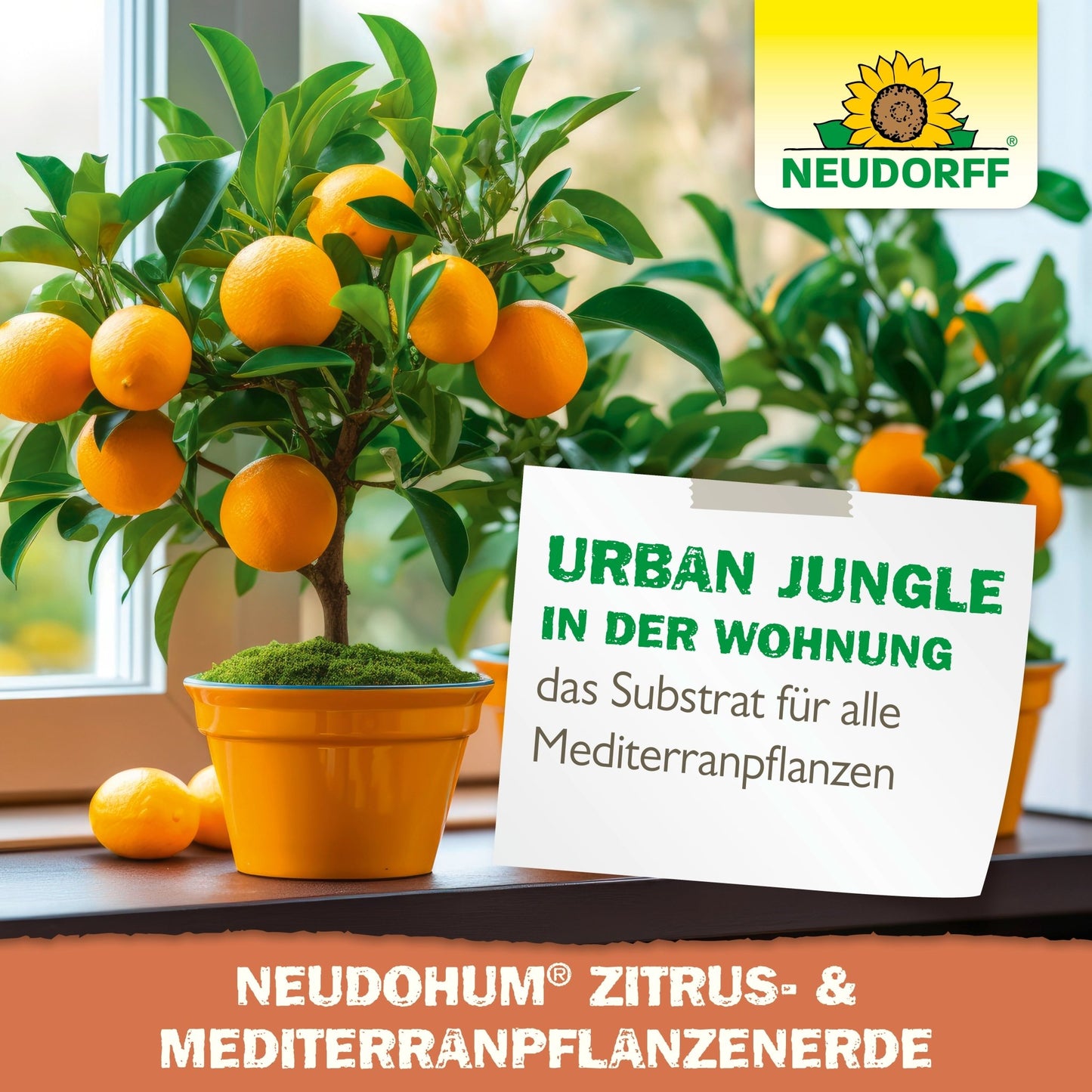 NeudoHum Citrus & Mediterranean Plants Soil