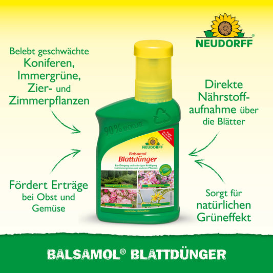 Eine grüne Flasche Neudorff Shop Balsamol Blattdünger steht auf einem gelben und grünen Hintergrund, mit Text, der seine Vorteile für Immergrüne, Nadelgehölze und schnelle Nährstoffaufnahme hervorhebt.