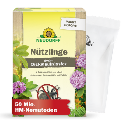 Eine Schachtel Neudorff Shop Nützlinge gegen Dickmaulrüssler zur Schädlingsbekämpfung, mit Blumen- und Käferbildern, ideal zur Bekämpfung von Schädlingen im Garten oder Engerlingen. Ein weißes Päckchen ist teilweise hinter der Schachtel sichtbar.