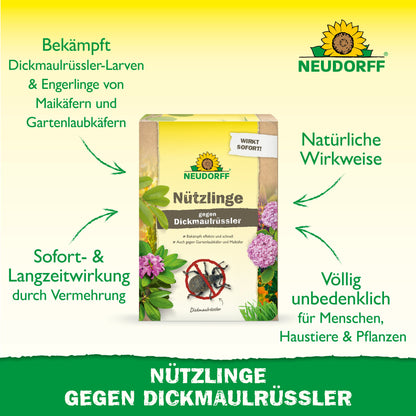 Im Mittelpunkt steht eine Packung "Nützlinge gegen Dickmaulrüssler" von Neudorff Shop, die natürliche Schädlingsbekämpfung mit Nematoden. Grüne Pfeile heben die natürlichen, sicheren und wirksamen Eigenschaften auf Deutsch hervor.