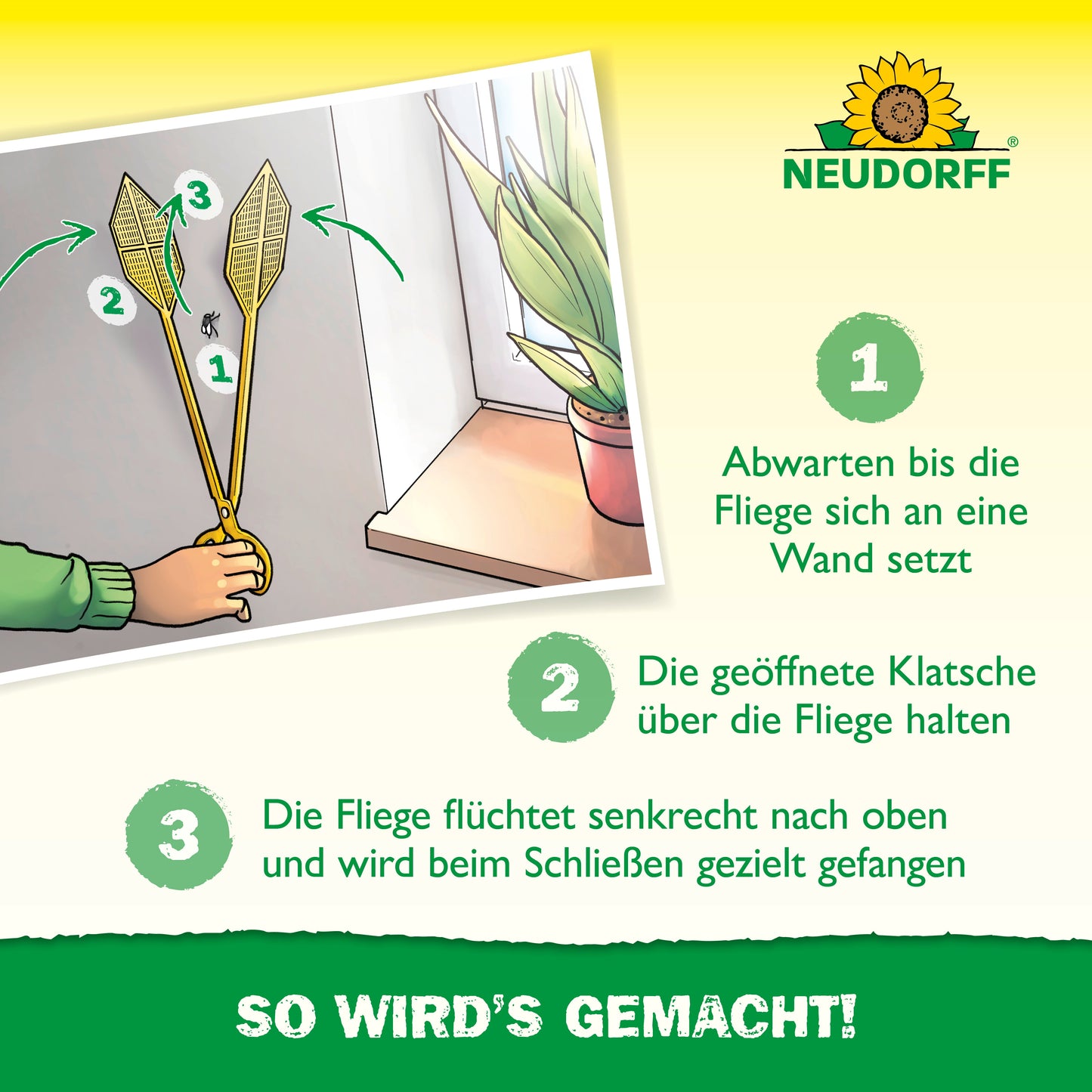 Mit der Neudorff Shop Doppelfliegenklatsche fangen Sie Fliegen ohne Flecken: Warten Sie, bis eine Fliege landet, halten Sie die geöffnete Fliegenklatsche über sie und schließen Sie sie dann senkrecht, um die Fliege ohne Flecken zu fangen.