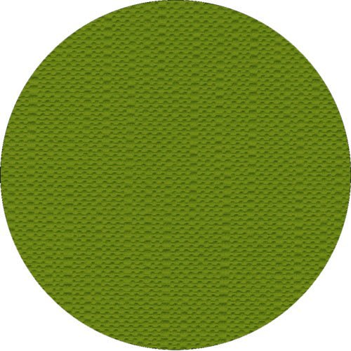 A green, round object with a finely textured surface consisting of small, raised bumps arranged in rows, reminiscent of the high-quality tissue pattern on the “ROYAL Collection” tablecloth from the PAPSTAR resemble a GmbH.