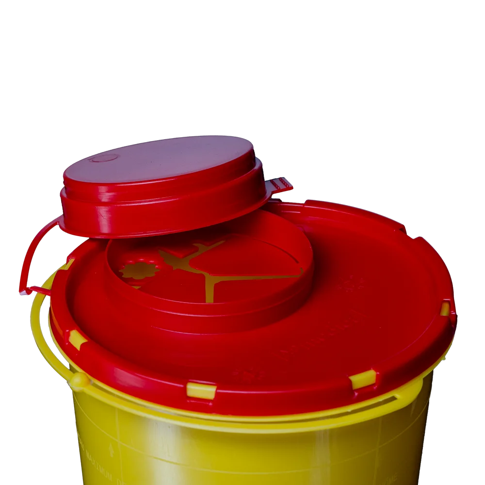 CP Kanülen-Entsorgungsbox 0,6 L | Packung (1 Stück)