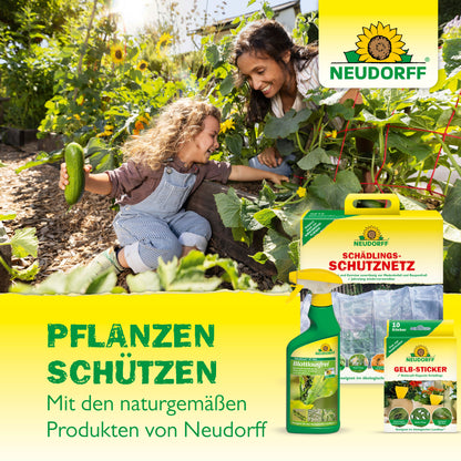 Eine Frau und ein Kind pflücken Gemüse in einem Garten. Im Vordergrund stehen die Nützlinge gegen Dickmaulrüssler von Neudorff Shop, die für einen natürlichen Pflanzenschutz für gesunde Gärten werben.