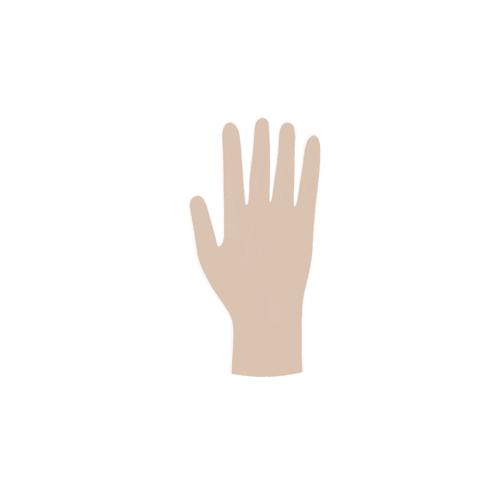 Illustration einer menschlichen Hand in neutraler Position mit ausgestreckten Fingern, dargestellt in einem flachen Grafikstil mit sterilen Meditrade Copolymed® Einmalhandschuhen.
