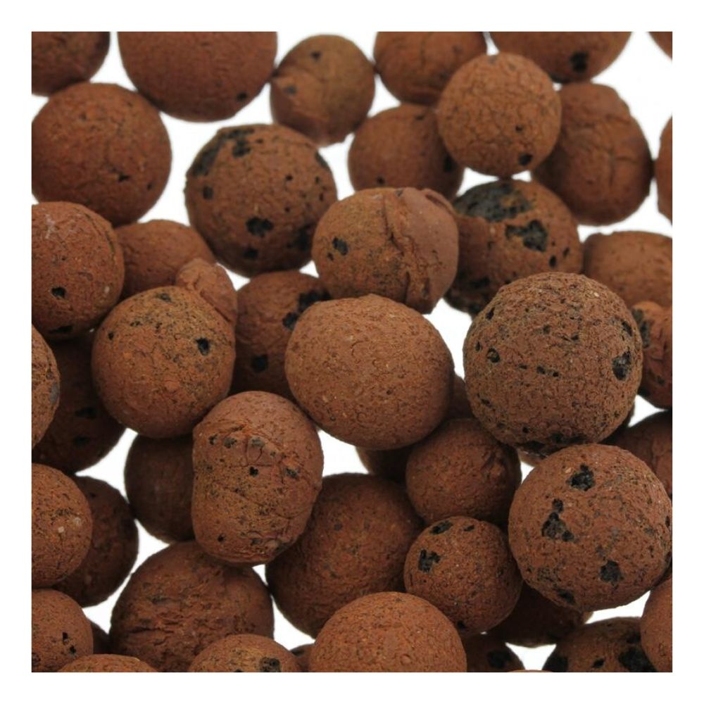 Die Plagron Europebbles von Bertels B.V. sind braune, runde Tonkugeln mit poröser Oberfläche, perfekt für Hydrokultursysteme. Sie haben kleine dunkle Flecken, variieren in der Größe und sind dicht gepackt, was ihnen ein strukturiertes Aussehen verleiht.