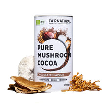 Bio Mushroom Kakao Pulver